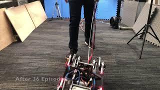 Data Efficient Reinforcement Learning for Legged Robots