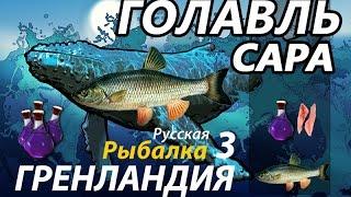 Голавль Сара / РР3 [Русская Рыбалка 3,9 Гренландия]