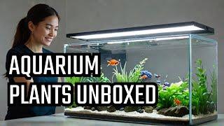 Stunning Aquarium Plant order unboxing