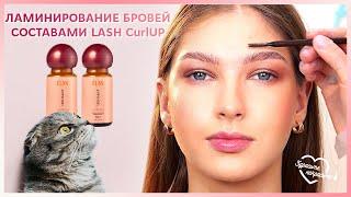 Ламинирование БРОВЕЙ составом для РЕСНИЦ | Зачем? Как?