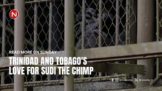 Trinidad and Tobago's love for Sudi the chimp