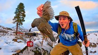 Frozen Mountain Quail Hunting & Wilderness Cooking!!! (Catch & Cook)