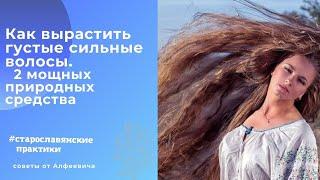 Как вырастить густые волосы. Два сильных природных средства. Старославянские Практики