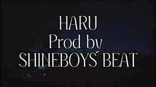 HARU (Prod By SHINEBOYS BEAT) Lyrics Visualizer