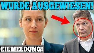 Alice Weidel ENTHÜLLT DIE WAHRHEIT! Habeck wurde ausgewiesen...