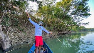 Pesca Con Lanza Monstruo de Rio y Cocina