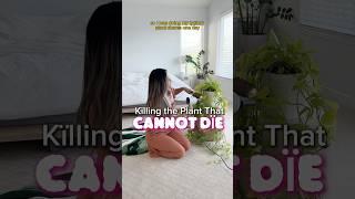 KÏLLING the plant that CANNOT DÏE #shorts #plants #indoorplants #zzplant #houseplants #plantcare