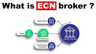 What is ECN broker in Forex ?