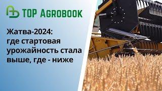 Жатва-2024: где стартовая урожайность стала выше, где - ниже | TOP Agrobook: обзор аграрных новостей