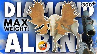 300+ MAX WEIGHT DIAMOND ALBINO MOOSE & I am in SHOCK!!! - Call of the Wild