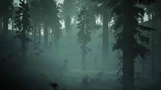 Halloween Haunted Swamp Ambience, Soundscape, Background Sounds | 2 hours