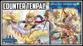 I Played Ritual Beasts to COUNTER Tenpai Dragon! 1 Hour Playtest