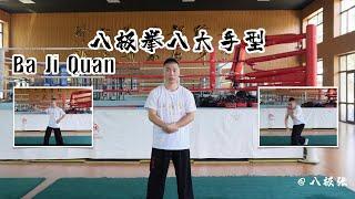 8 Hand-skills In Combats!【Martial Arts/Kung Fu】Baji Quan Tutorial Session 6 The Strength: 八极拳教学 八大手型