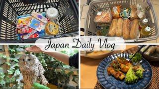 stationery shopping at Daiso, grocery shopping, owl cafe | a day in my life