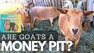 How Much Does it COST to Keep Goats??  Cost Breakdown and Comparisons