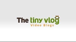 The Tiny Vlog: The Origins of the Tiny Frog