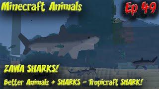 ZAWA Mod Sharks Better Animals + Sharks Tropicraft Sharks Minecraft Animals Episode 49