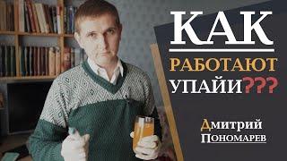 Как работают упайи | Дмитрий Пономарев