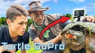 We Put a GoPro on a Snapping Turtle!