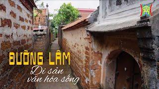 Đường Lâm – Di sản của văn hóa sống | Di sản kể chuyện