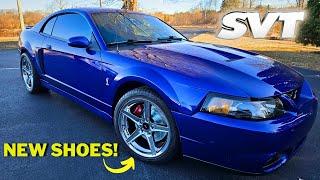 The "CHEAP" Sonic Blue SVT Cobra Transformation Continues: NEW WHEELS + Brake Upgrades!