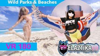 [3D VR180] PARKS AND BEACHES | ULTIMATE MASHUP video series IN 3D VR 180