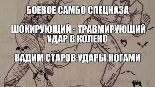 Боевое Самбо Спецназа Шокирующий-Травмирующий удар ногой в колено, голень Вадим Старов