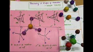 Geometry and Shapes of the Molecules- VSEPR theory- NEET/ JEE - NCERT Chemistry