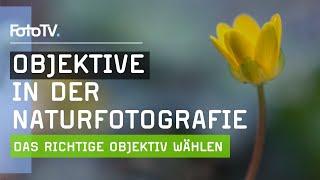 Naturfotografie-Tipps | Das RICHTIGE Objektiv für atemberaubende Naturfotos  | FotoTV.de