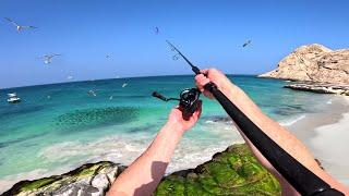 Fishing the Worlds Best Remote Islands! (Hectic Action)