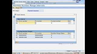 sap trm configuration  payment management