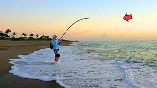 Tossed a Lure off the Beach and Caught a Bucket List Fish!