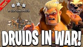 Maxing the New Druid Troop to Use in War! (Clash of Clans)