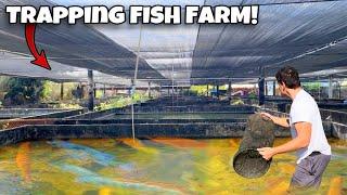 I Found FISH FARM TRAP Filled With EXOTIC FISH!