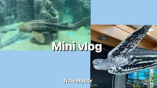 My little trip to an Aquarium 🫧 vlog #1