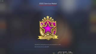 Getting 2022 Tier 5 Service Medal in CS:GO