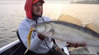 Baggersee-Zander mit Fredrik Harbort