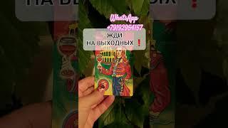 ЖДИ НА ВЫХОДНЫХ #расклад #таро #гадание #tarot #гаданиебесплатно #поиск #приворот Расклад Таро маг