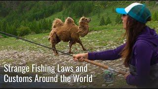 9 Strange Fishing Laws and Customs Around the World That You Might Not Know