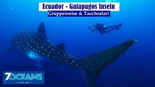 Gruppenreise & Tauchsafari mit Action-Sport 7oceans | Galápagos Inseln - Ecuador