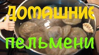 Купила новый шланг /готовлю домашние пельмени  уборка дома /приготовила любимый суп мужа