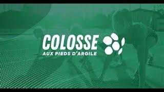 WEBINAIRE : Présentation Colosse aux pieds d'argiles