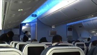 ANA 787 Dreamliner Economy Class Flight Experience Seattle - Narita, Japan