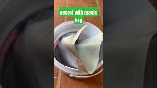 secret with magic bag #ntdtip #tipsnntricks #tricks #tips #recycle #ideas #shorts