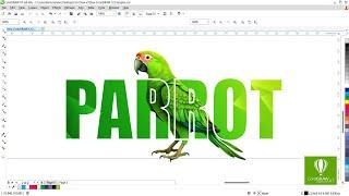 Corel Draw x7 Typography Tutorial |corel draw designs