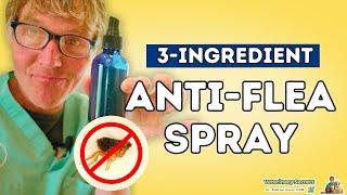 Dr. Jones's Flea Repellent Solution: 3 Simple Ingredients for an Effective and All-Natural Solution