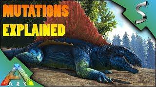 OLD VIDEO, LINK TO NEW ONE IN DESCRIPTION! MUTATIONS EXPLAINED - Ark: Survival Evolved