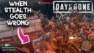 When Stealth Goes Wrong on HORDES!! | Days Gone PC | SAWMILL HORDE