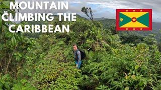 Mount Saint Catherine - Highest Peak in GRENADA