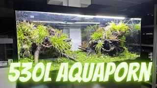 AquaP0RN 530l Showaquarium für AquaExpo